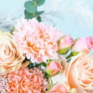 Meet your Posher, Franny